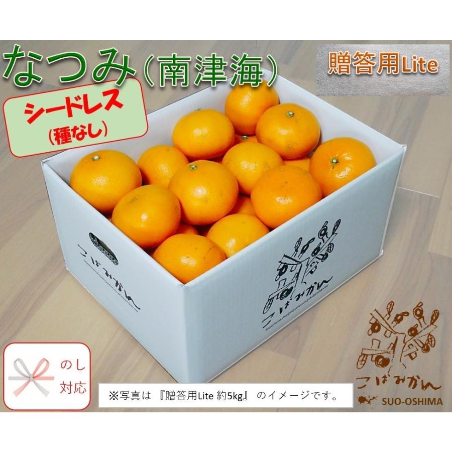 種なし! 山口周防大島産『なつみ（南津海） 贈答用Lite 小箱 約2.5kg