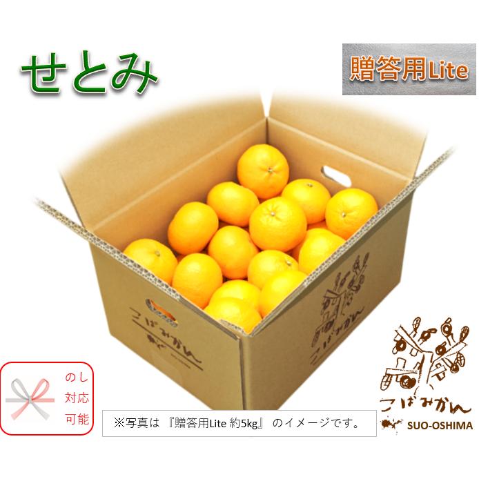 山口周防大島産『せとみ 贈答用Lite 中箱 約4kg』 : こばみかん