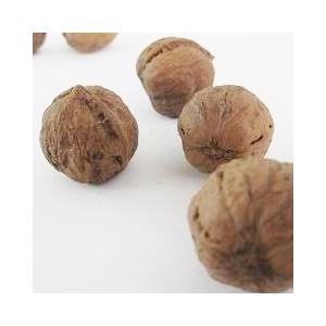鬼くるみ殻付き 信州産 1kg Okurumi1 小林多男商店 通販 Yahoo ショッピング