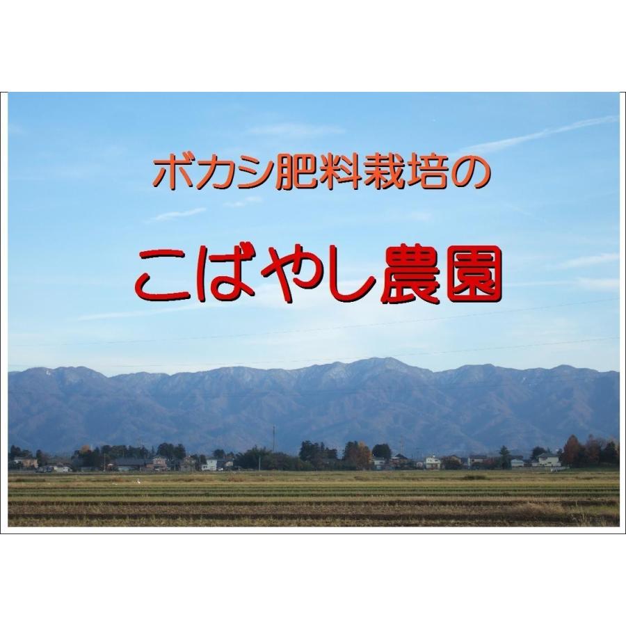 こばやし農園 発芽玄米（雑穀16穀入り）コシヒカリ 4kg (1kg x4) 令和 5年産 新潟県産 特別栽培米（減農薬・減化学肥料栽培米）｜kobanoh1｜03