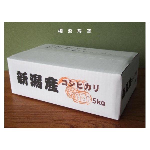 ミルキークイーン 5分づき 20k(5kg＊4)g 令和5年産 新潟県産特別栽培米