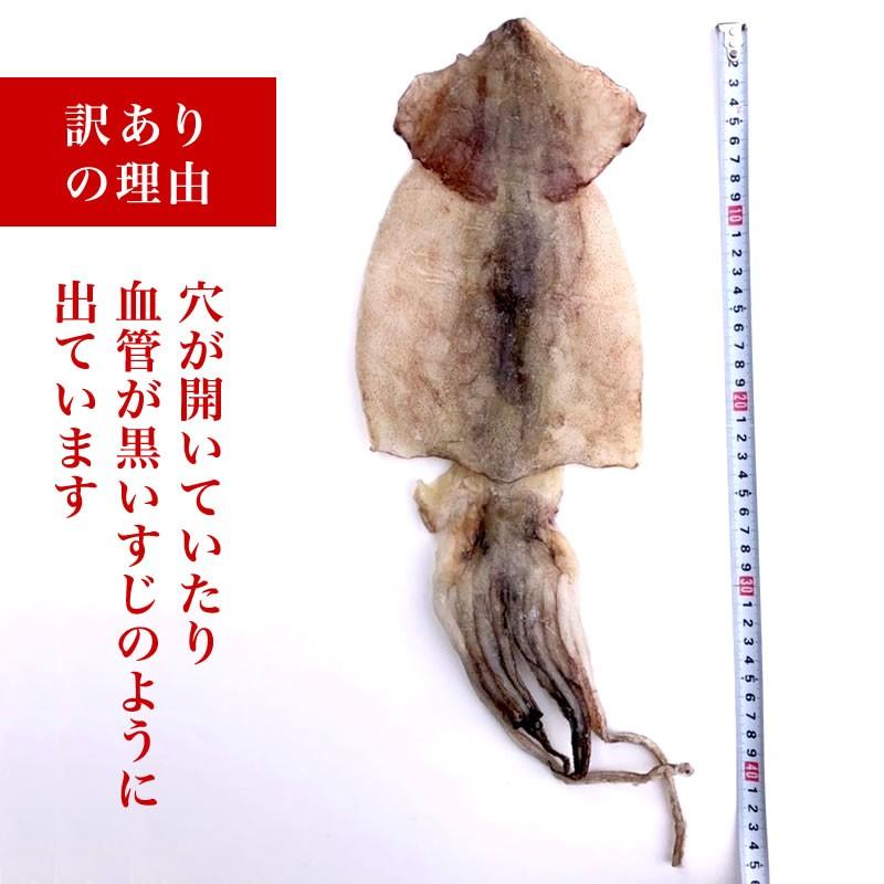 佐渡産　干しいか（真イカ）1kg 無添加するめ　無塩　あたりめ 訳あり】 佐渡産 一夜干しするめ 3枚 スルメ 国産スルメ 国産 イカ