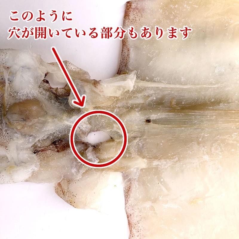 訳あり】 佐渡産 一夜干しするめ 3枚 スルメ 国産スルメ 国産 イカ
