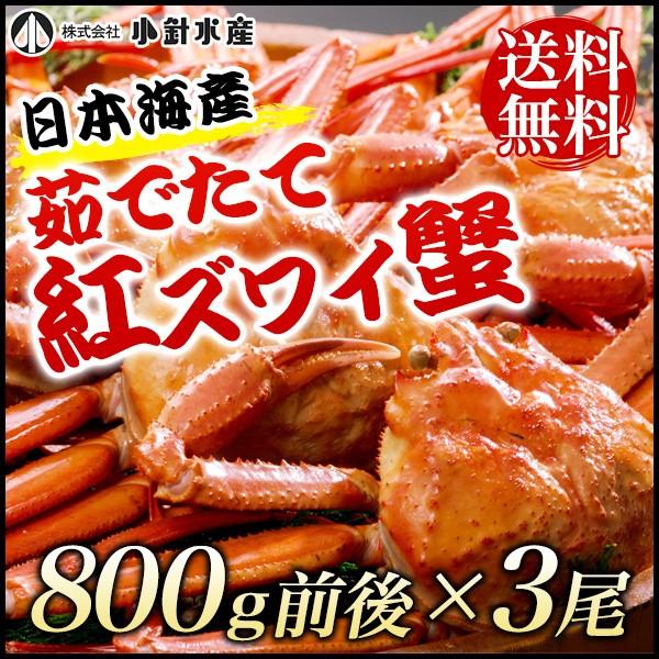送料無料】 日本海産 茹でたて紅ズワイ蟹 800g前後x3尾【かに カニ 蟹 