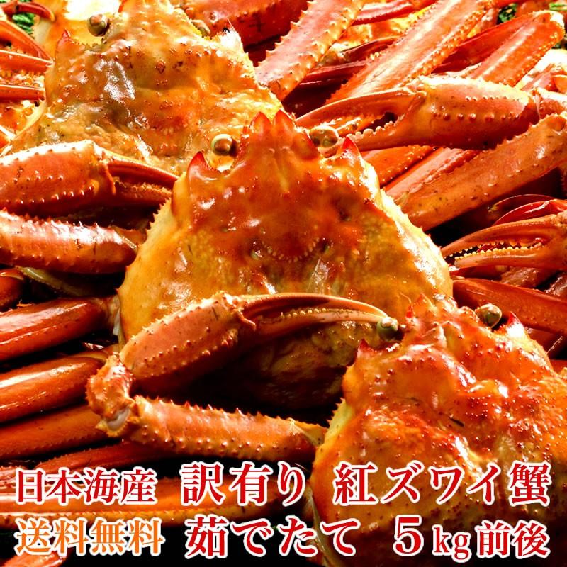 日本海産 訳あり 茹でたて紅ズワイ蟹 たっぷり 5kg 紅ずわいがに ベニズワイガニ 紅ずわい