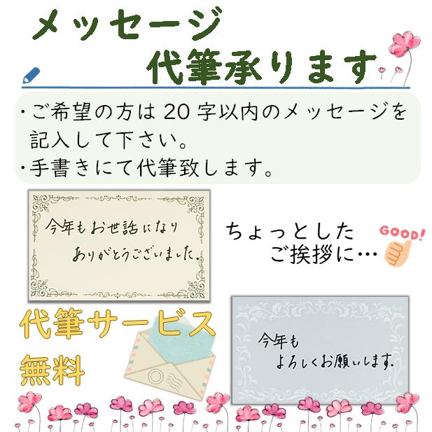 朝 昼 夜 シーン別の2袋3種 味比べ1煎パック お茶 高級宇治茶 お試しパック 国産 京都 宇治茶 高級緑茶 お返し プレゼント お誕生日 お歳暮｜kobataen｜18