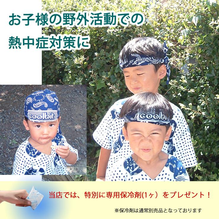 当店だけ！専用保冷剤付き ひんやり気持ちいい 冷却グッズ 首元 家族で