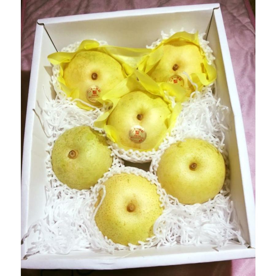 誠実 梨 ギフト 二十世紀梨 21世紀梨デラックス 送料無料 限定100箱 22年産予約 Wantannas Go Id