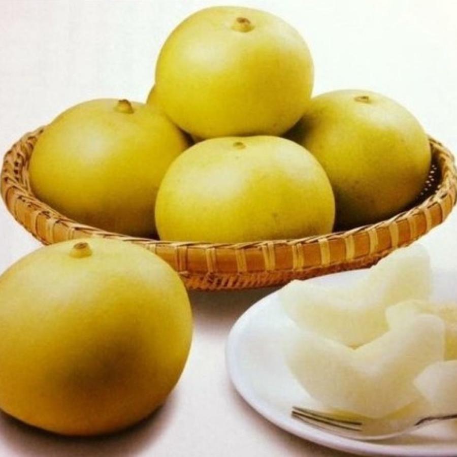 梨 ギフト 21世紀梨デラックス ゴールドギフト 月曜から夜ふかしで話題