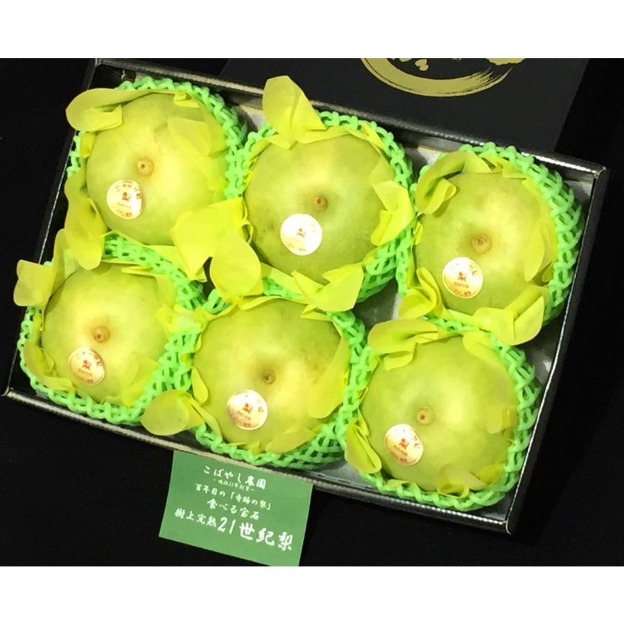 梨 ギフト 21世紀梨デラックス ゴールドギフト 月曜から夜ふかしで話題