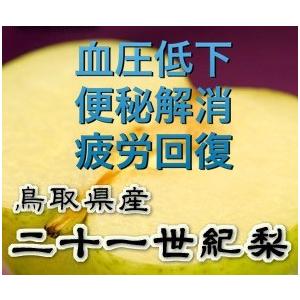梨 ギフト 21世紀梨デラックス シルバーギフト 100箱限定 送料無料