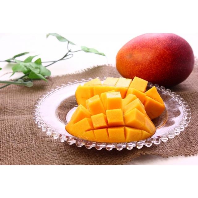 マンゴー 宮崎県産 完熟アップルマンゴー 2玉 700g 1kg 入り 化粧箱入り ギフト 送料無料 Mango2 こばやし物産 通販 Yahoo ショッピング