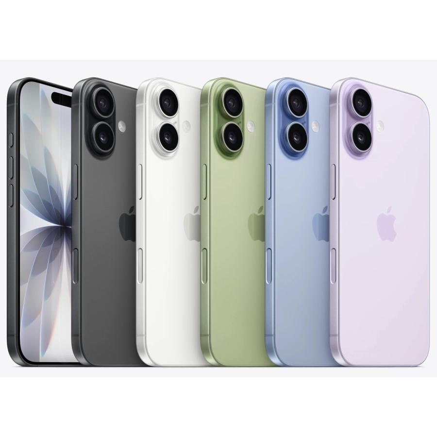 Apple 新品未開封 Appleストア版 SIMフリー iPhone17 512GB