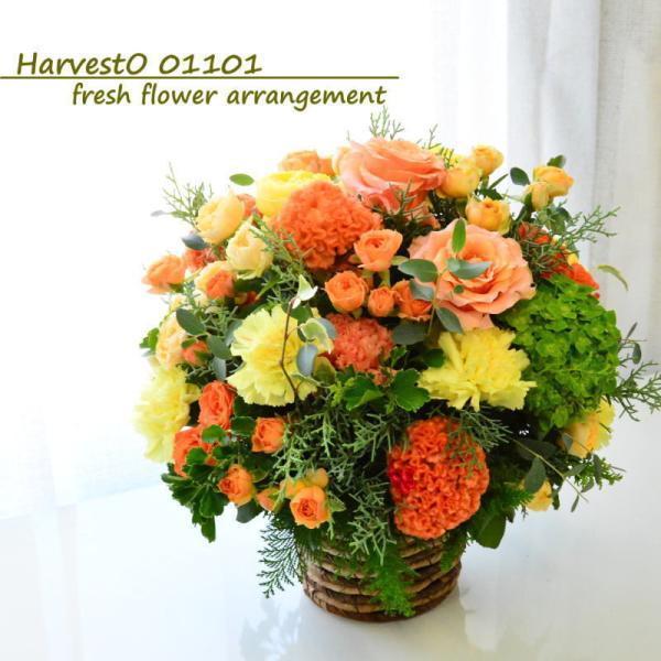 母の日 父の日 花 ギフト 生花 フラワーアレンジメント オレンジ 橙 送料無料 プレゼント 記念日 新築祝い 長寿御祝 おしゃれ 御祝 出産 Ao009 Arne 通販 Yahoo ショッピング