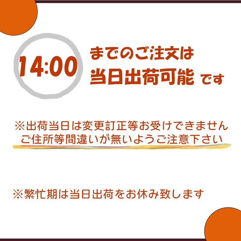 花 フラワーアレンジメント 生花  ギフト フラワー 花屋 暖色アレンジメント オレンジ 橙  送料無料 プレゼント  a お花 爆買の画像