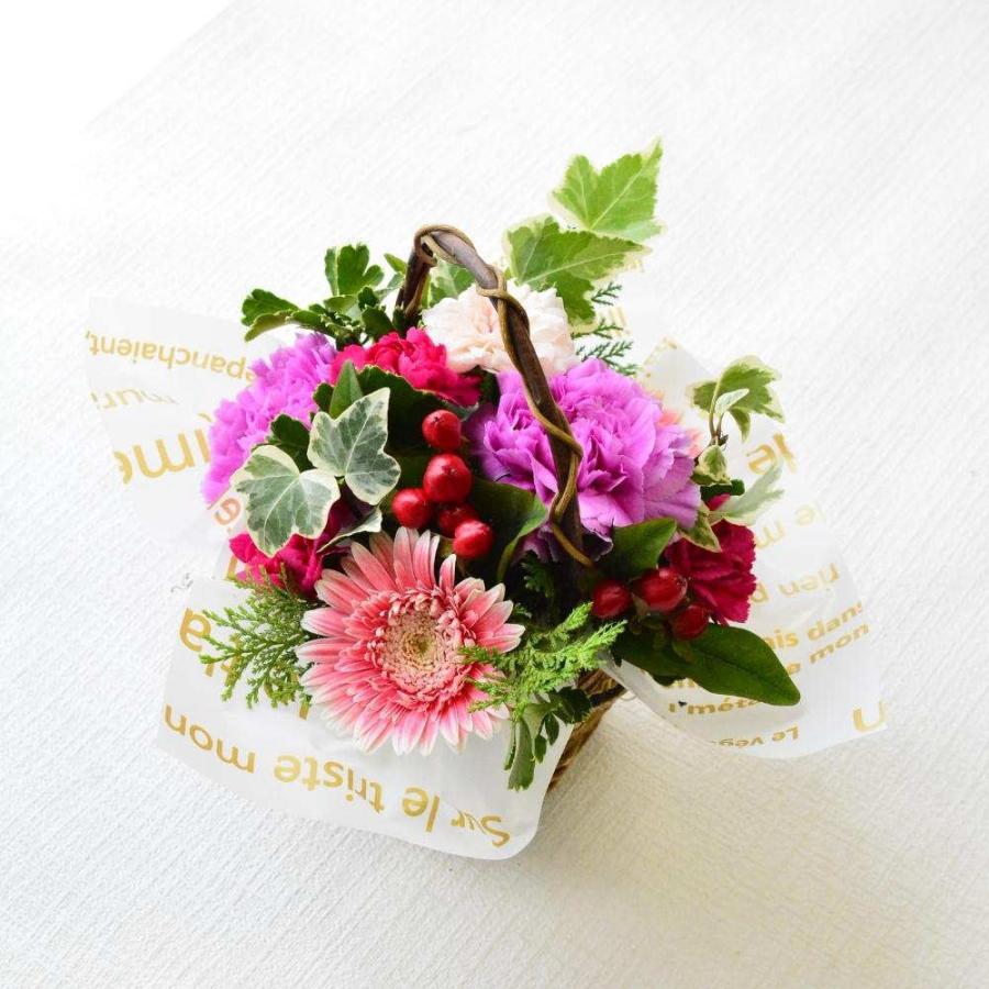 花 フラワーアレンジメント ギフト 生花 誕生日 プレゼント 送料無料 色が選べる お礼 お祝い お見舞い お供え ほんの気持ち 土日発送 a ng :az002:arne 通販 誕生日 花 フラワーアレンジメント フラワーギフト 生花 プレゼント ギフト 送料無料 色が選べる アレンジメント アレンジ お礼 お祝い 展示会 お見舞い 楽屋花 お供え ほんの気持ち プレゼント ギフト つつむ 土日発送 a