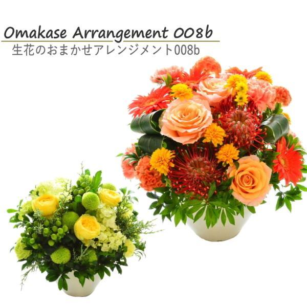 誕生日 お中元 あす着 敬老の日 花 フラワーアレンジメント お祝い 送料無料 生花 おまかせ 長寿 展示会 発表会 楽屋花 退職祝い 昇進御祝 新築御祝 プレゼント Az008b Arne 通販 Yahoo ショッピング
