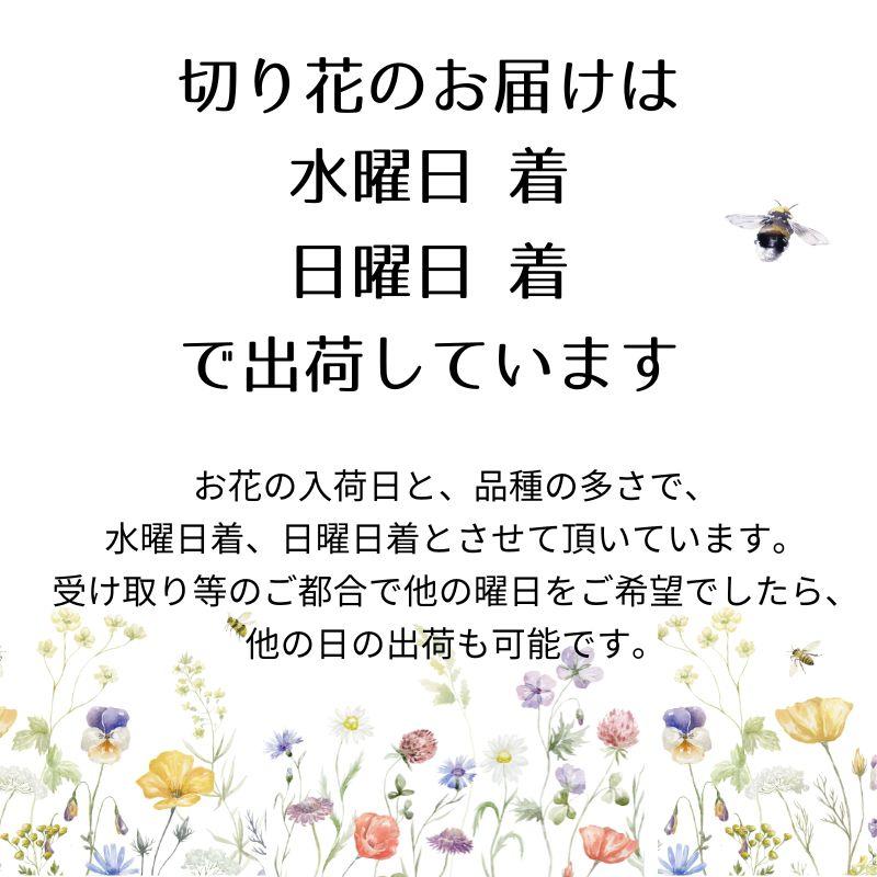 花束・切花 AME ブーケ 花とギフトの店 ARNE 誕生日 花 花束 切花 生花 自宅 おうち