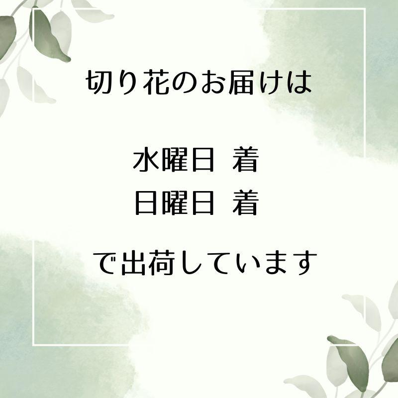 ブーケ 花とギフトの店 ARNE 誕生日 花 花束 切花 生花 自宅 おうち