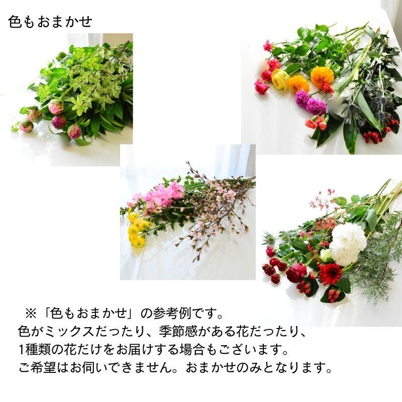ブーケ 花とギフトの店 ARNE 誕生日 花 花束 切花 生花 自宅 おうち