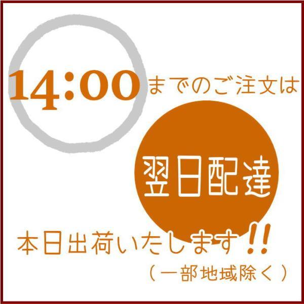 母の日 誕生日 花 花束 誕生日 ラッピングのまま飾れる フラワーギフト 生花 お祝い お礼 送別 贈呈 還暦 結婚 感謝 ギフト｜kobe-arne｜06