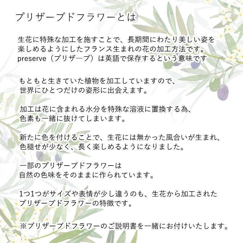 母の日 プリザーブドフラワー 花 誕生日 フラワーギフト 額縁 壁飾り プレゼント 丸い花 フラワーアレンジメント 記念品 お祝い おしゃれ インテリア 爆買_3
