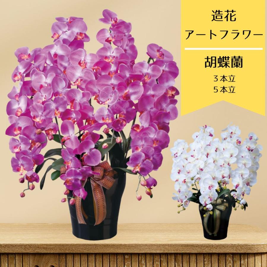 ブーケ 花とギフトの店 ARNE 胡蝶蘭 お祝い 花 鉢花 蘭 ラン