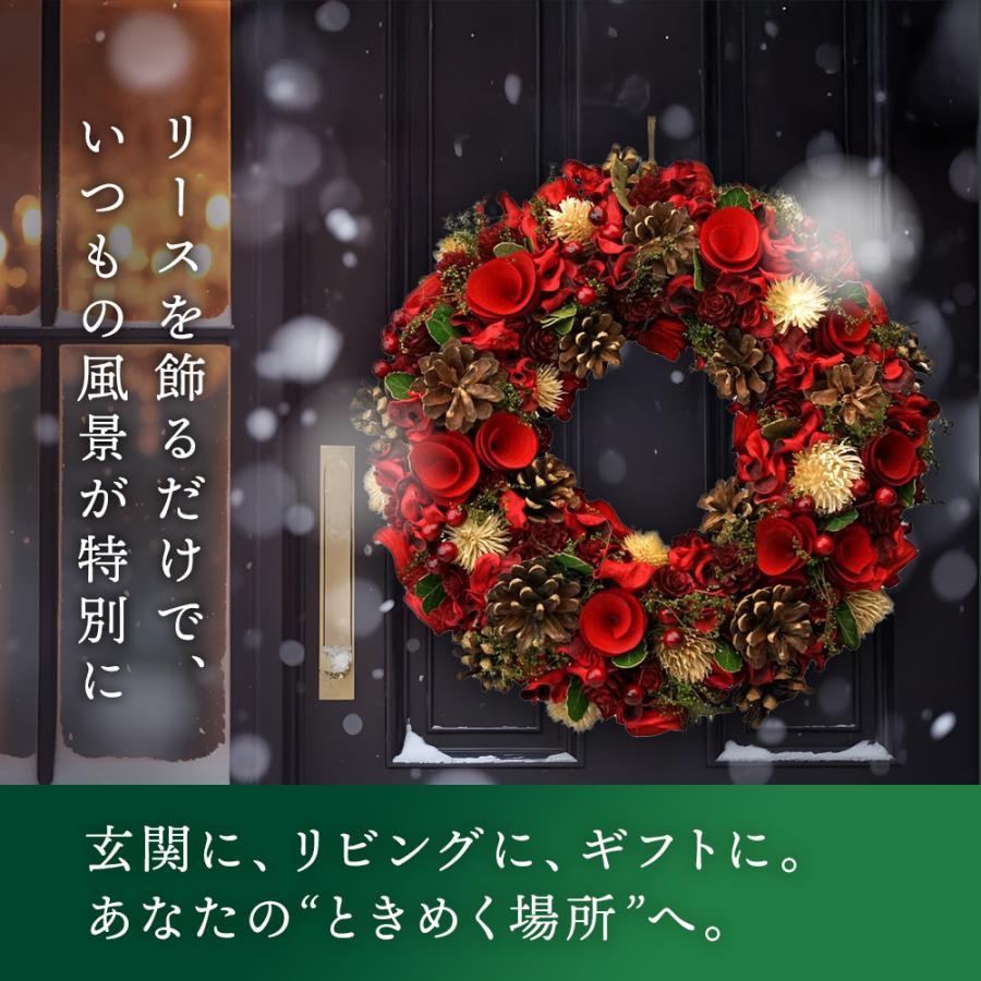 クリスマスリース レッド LLサイズ ナチュラルリース ナチュラル 玄関