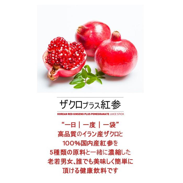 ザクロ　9/30迄 楽天市場】【賞味期限2025年12月10日】【6本セット送料無料】 アシスト