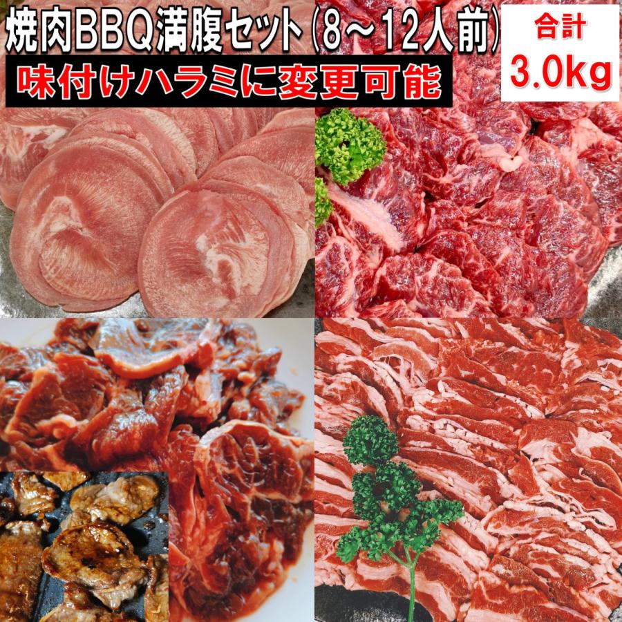 肉 バーベキュー 全国宅配無料 食材 牛肉 高級な 焼肉セット タン ハラミ BBQ BBQ食材 バラ カルビ 3.0kg 8〜12人前 豚肉 焼肉 バーベキューセット