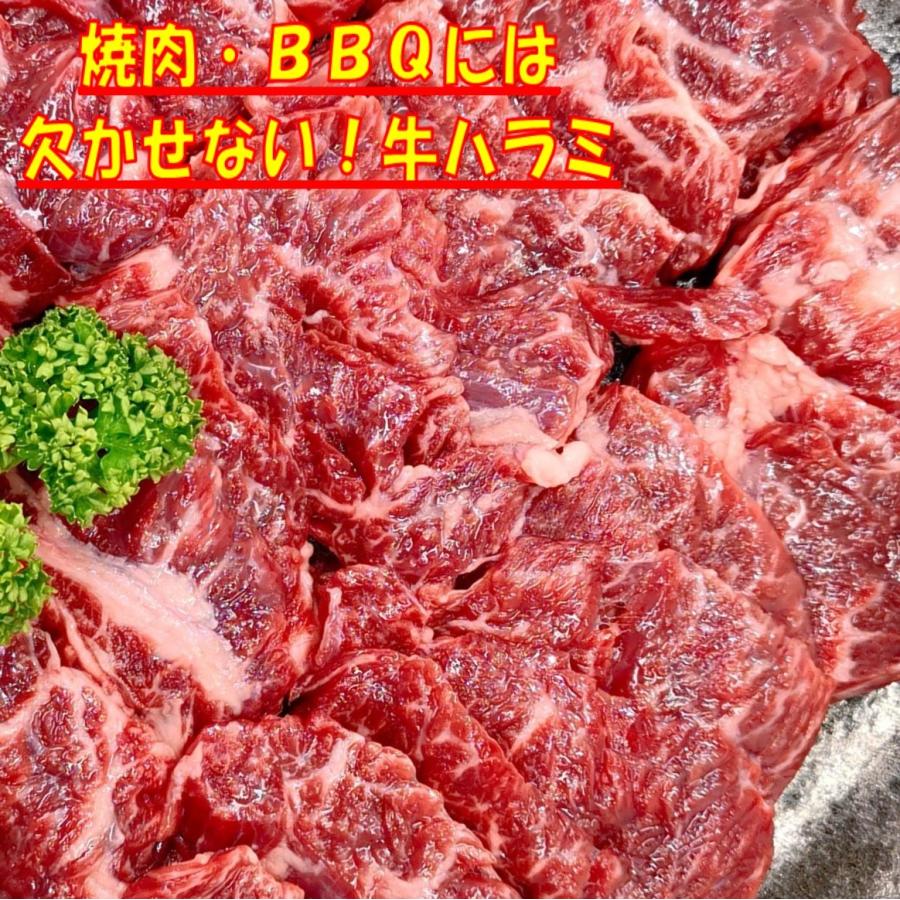 バーベキュー 食材 焼肉セット バーベキューセット bbqセット 肉 牛肉 ハラミ BBQ 肉 カルビ 焼肉 豚肉 鶏肉 3.9kg 12〜15人前｜kobe-shstore｜04