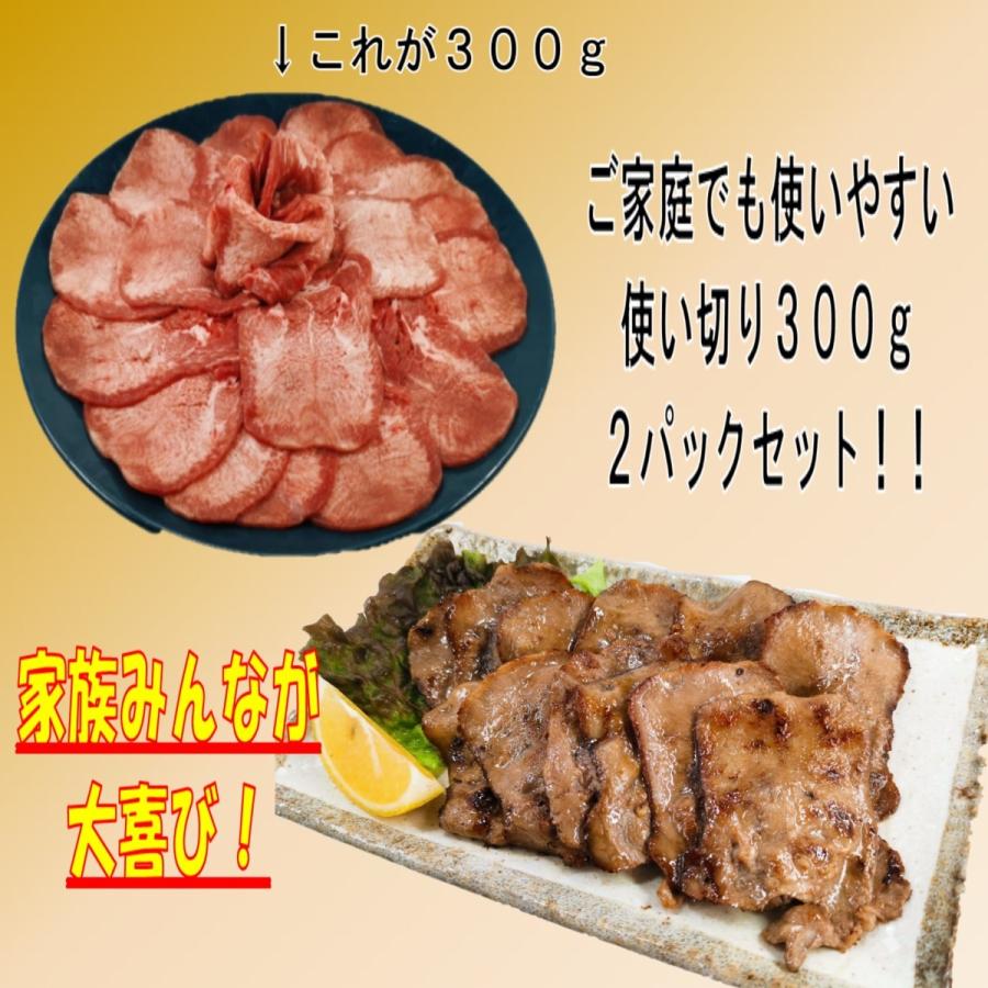新品入荷 肉 牛タン バーベキュー 食材 牛肉 焼肉セット 塩タン q q食材セット 牛タンスライス 焼肉 600g 3 4人前 Wantannas Go Id