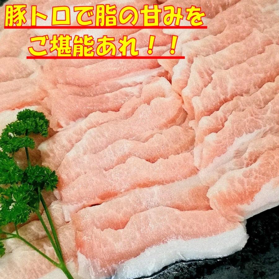 福袋 食品 肉 焼肉 肉 牛肉 焼肉セット バーベキュー 食材 バーベキューセット 牛タン 薄切り 焼肉 BBQ 肉 カルビ 焼肉 BBQセット 3.2kg 8〜12人前｜kobe-shstore｜07