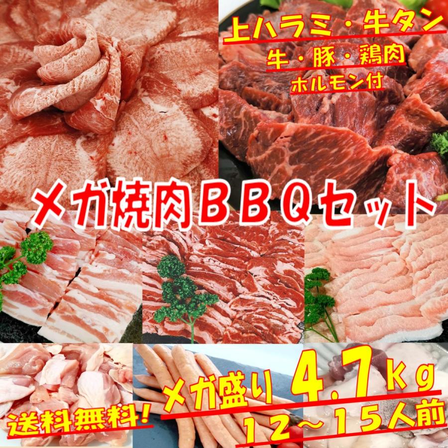 最新の激安 肉 牛タン バーベキュー 食材 牛肉 焼肉セット Bbq 肉 牛ハラミ カルビ 豚バラ 豚トロ 鶏もも肉 ウインナー ホルモン 焼肉 4 7kg 送料無料 12 15人前 全国宅配無料 Newebsitewithoutanew Siharkaboy Boyolali Go Id