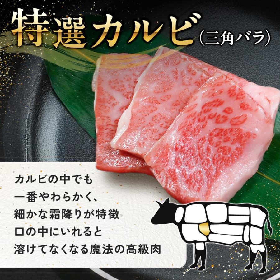焼肉セット 和牛 焼肉 黒毛和牛 A5 食べ比べセット 400g 牛肉 ギフト 国産牛肉 焼肉用 肉 安い 国産牛 霜降り肉 誕生日 就職祝い 合格祝いの画像