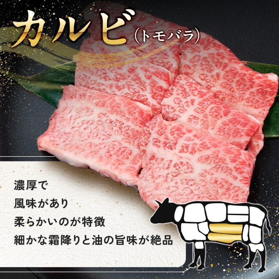 焼肉セット 和牛 焼肉 黒毛和牛 A5 食べ比べセット 400g 牛肉 ギフト 国産牛肉 焼肉用 肉 安い 国産牛 霜降り肉 誕生日 就職祝い 合格祝いの画像