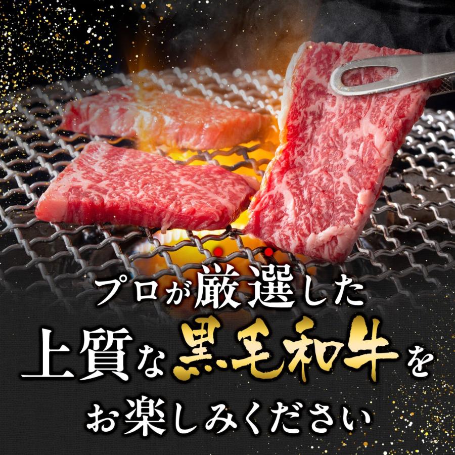 焼肉セット 和牛 焼肉 黒毛和牛 A5 食べ比べセット 800g 牛肉 ギフト 