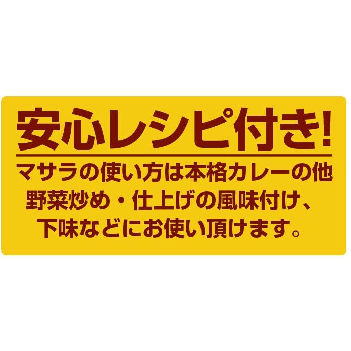 555円 2021新商品 オリジナル チャットマサラ 500g スパイス