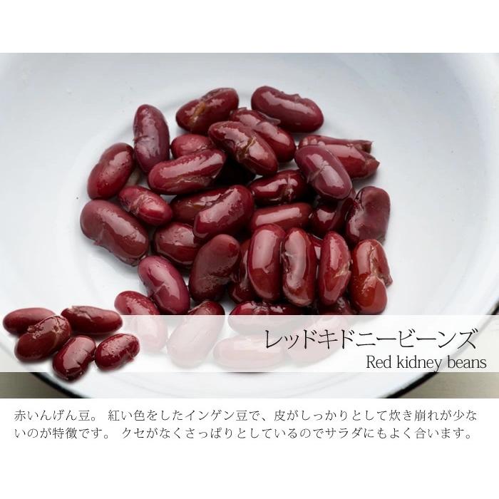 レッドキドニービーンズ 中国産 10kg 送料無料 金時豆｜kobe-spice｜02