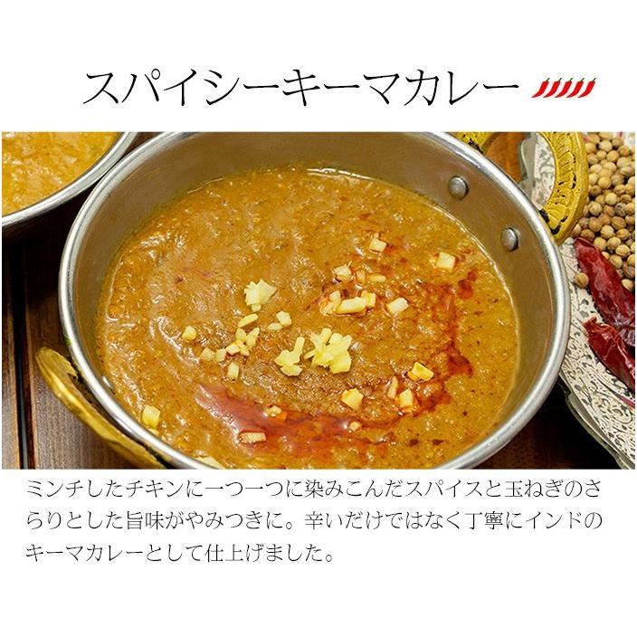 カレー レトルト スパイス香る本格派 インドカレー3食DXセット 180g×3品 簡易包装 送料無料｜kobe-spice｜09