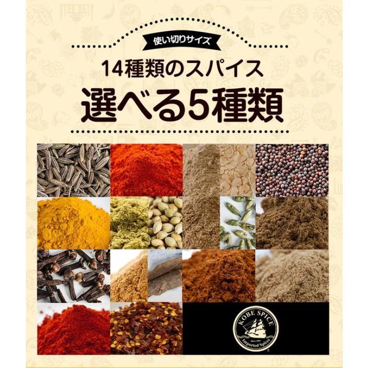 神戸スパイス 定番スパイス福袋セット 14種類からよりどり5品 20g×5袋