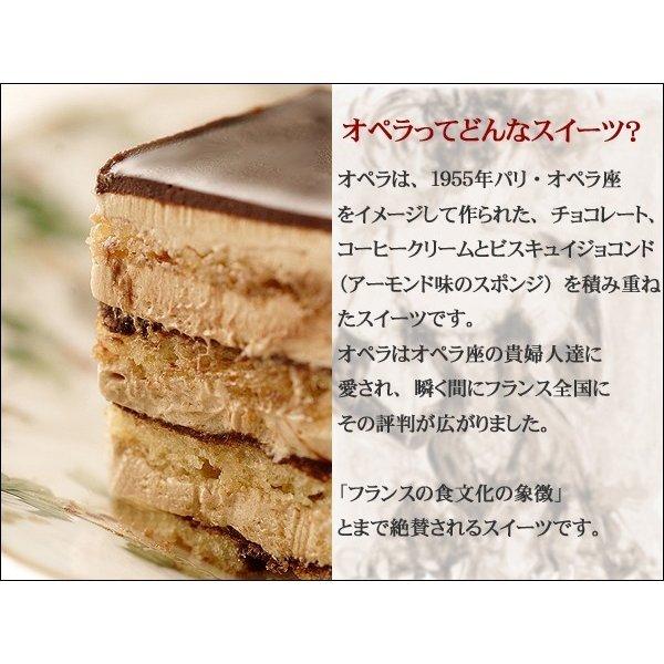 誕生日ケーキ バースデーケーキ チョコレートケーキ オペラ 送料無料 　プレゼント お返し 2024 　春のお彼岸　お菓子　母の日　入学祝い｜kobe｜02