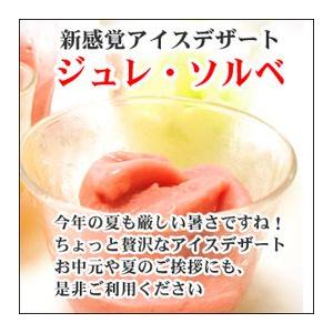 ギフト フルーツゼリー シャーベット ジュレソルベ 送料無料 　ギフト 　プレゼント お返し 2024 お菓子 お菓子　母の日　お歳暮｜kobe｜03