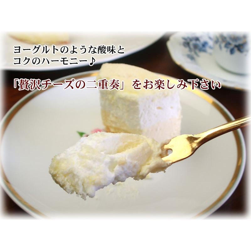 誕生日ケーキ バースデーケーキ チーズケーキ ドゥーブルフロマージュ 送料無料 ギフト プレゼント 21 クリスマスケーキ お歳暮 お菓子 Ird W Cheese 神戸スイーツ 誕生日ケーキ 通販 Yahoo ショッピング