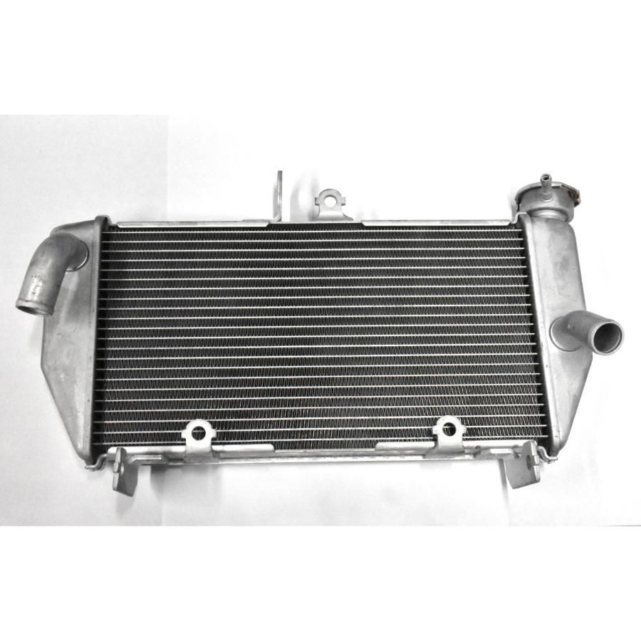 YZF-R25 ラジエーター、ブロワーASSY ヤマハ純正部品 ラジエーター 1WD-E2461-00 YZF-R25 2015 : 神戸オート