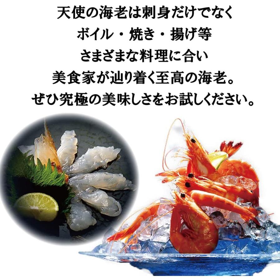 天使の海老 1kg えび 海老 ニューカレドニア産 40〜50尾 16時まで当日