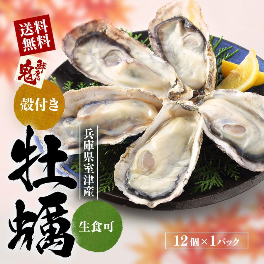 16時まで当日発送】兵庫県産 生食 かき カキ 牡蠣 貝類 12個入り 刺身 