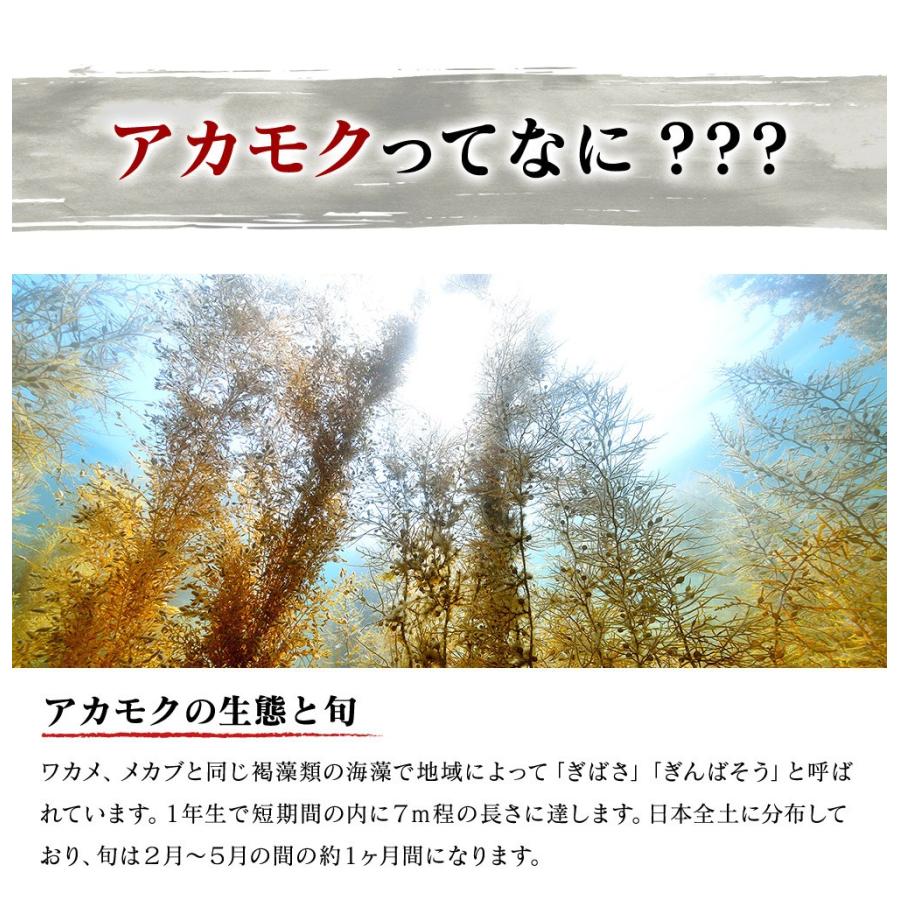 あかもく アカモク ぎばさ ギバサ 12 パック 36食分 愛媛県産 天然 海藻 通販 とろろ 食べ方 どんぶり 味噌汁 魚 海産物 G 232 12 かに専門店 鮮度の鬼 神戸crab 通販 Yahoo ショッピング