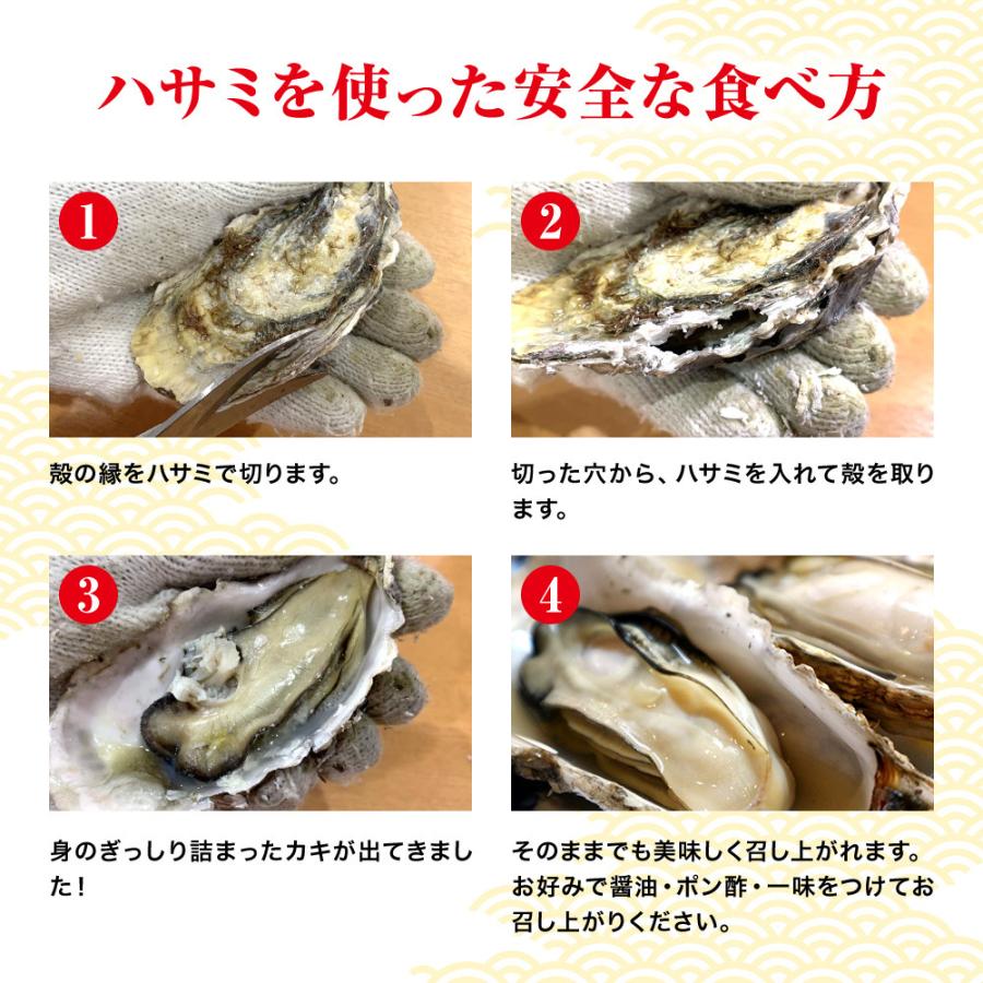 かき カンカン焼き 個入 21年新物 カキ 牡蠣 自宅で簡単 q バーベキュー 海鮮 G 245 かに専門店 鮮度の鬼 神戸crab 通販 Yahoo ショッピング