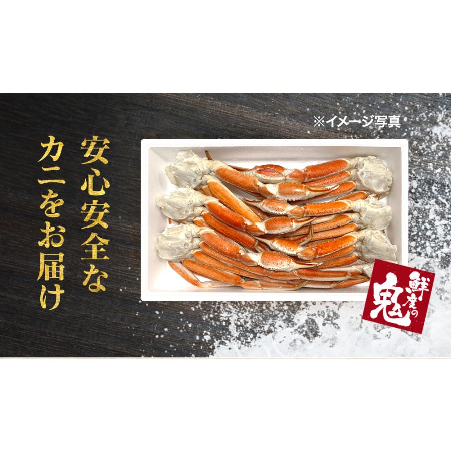 ボイル ズワイガニ 2kg 肩脚 16時まで当日発送 お歳暮 ずわい ズワイ